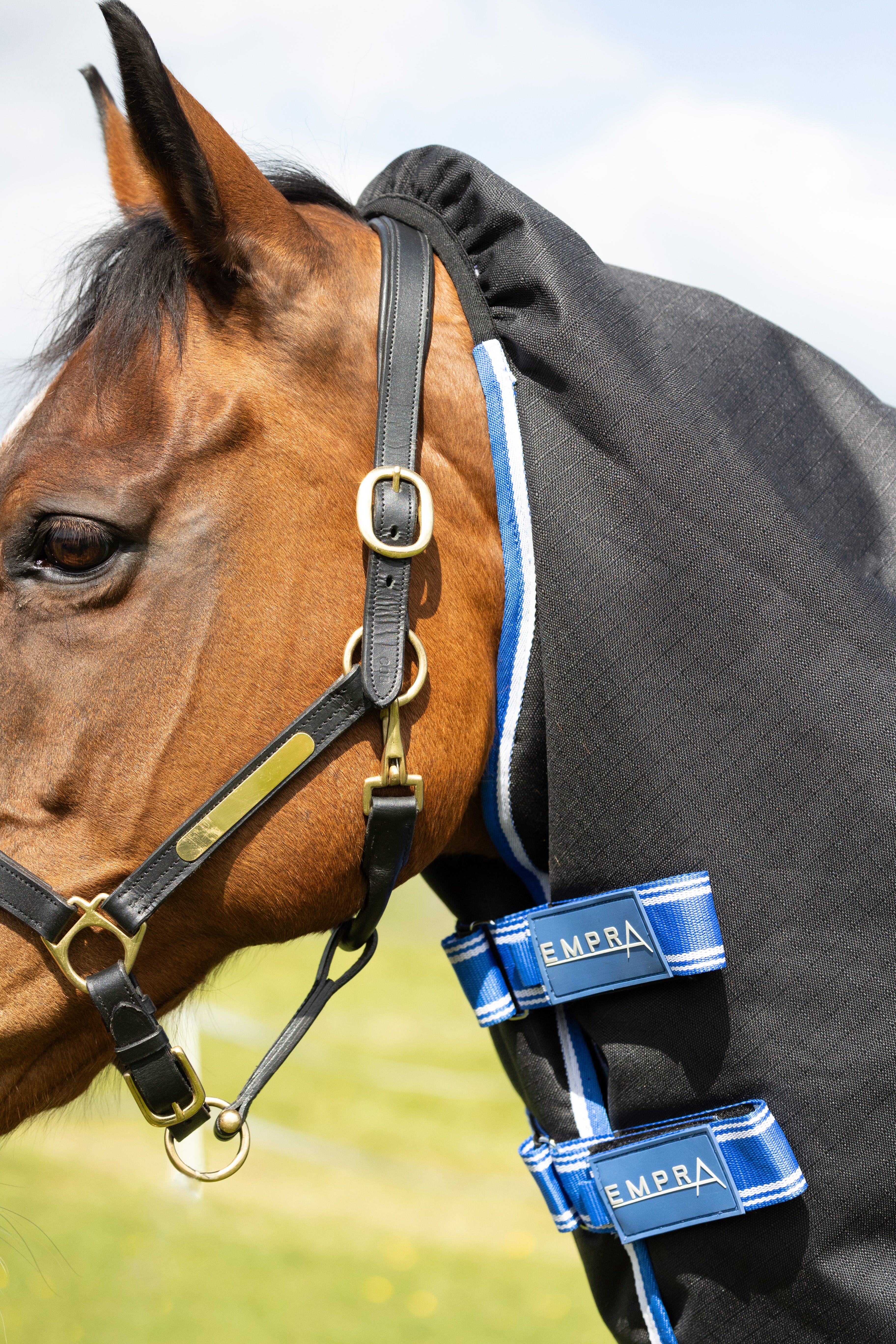 StormX Empra Extra 200g Turnout Rug with Detachable Neck image 7